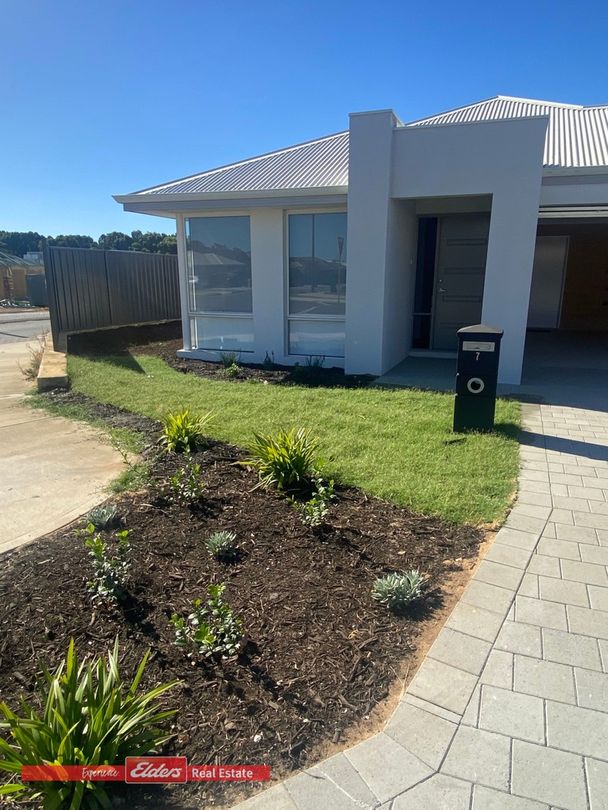 7 Dunning Street, Baldivis WA 6171 House For Rent Domain