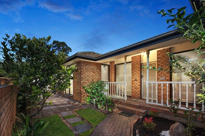Picture of 1/686 Whitehorse Road, MONT ALBERT VIC 3127