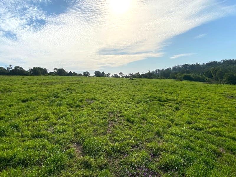 3 bedrooms Acreage / Semi-Rural in 230 Wittman Road BOOIE QLD, 4610