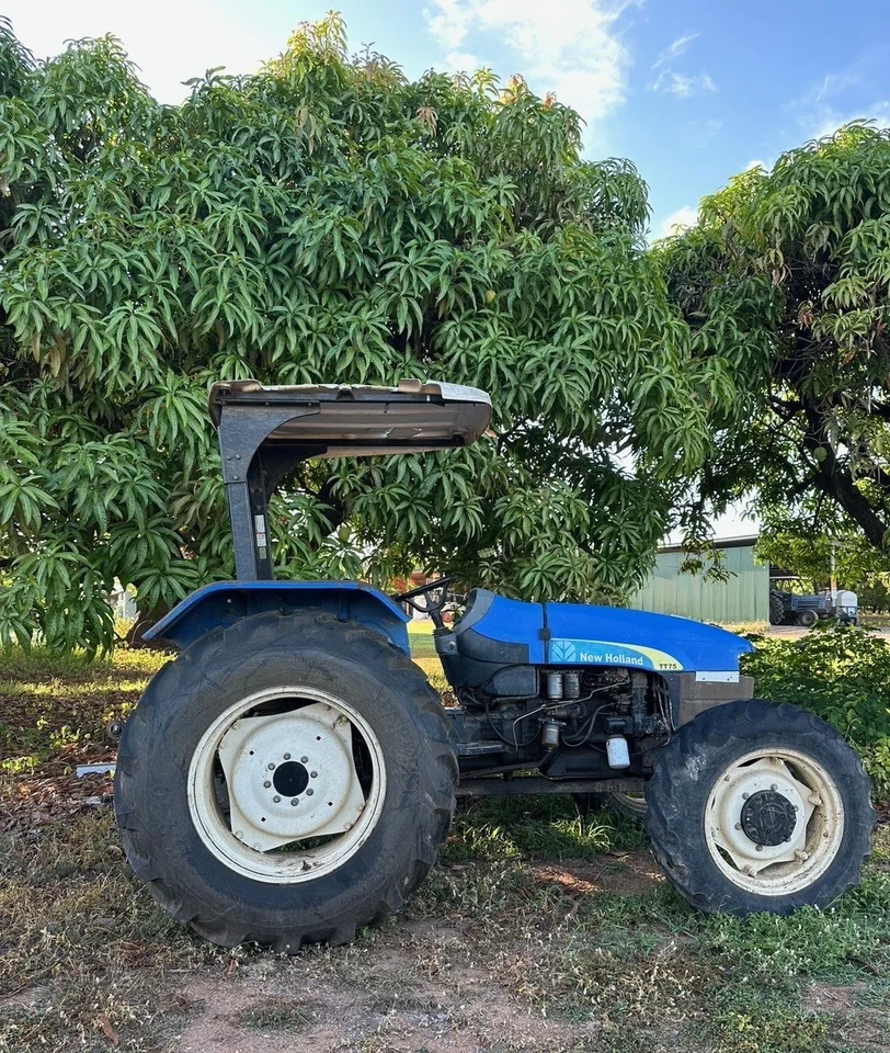 Image 11