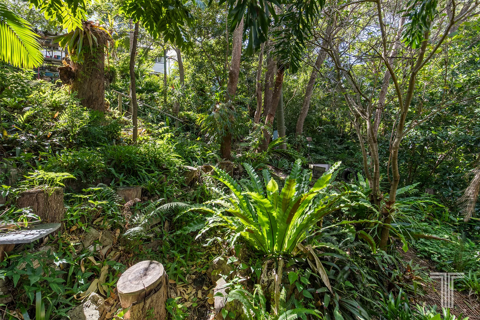 Image 12