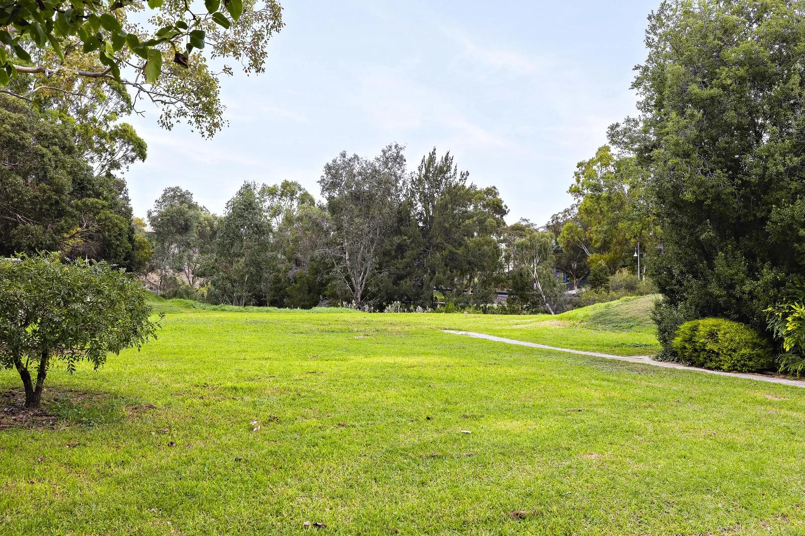 Image 14