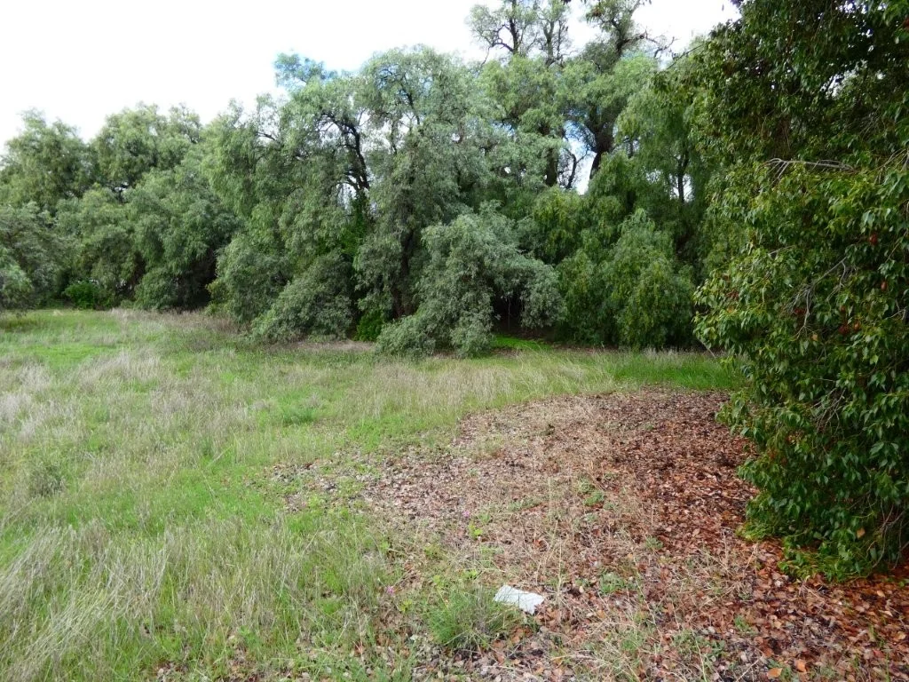 Additional image 2 of 41 Deakin St, Beulah VIC 3395