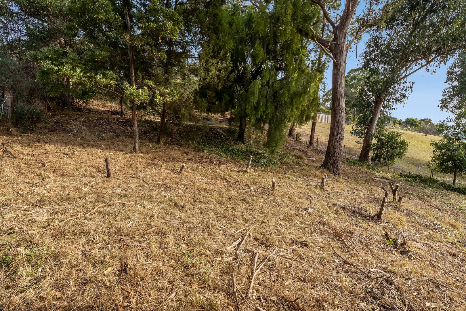 17 Mount Royal Road, Kingston Beach TAS 7050 Domain