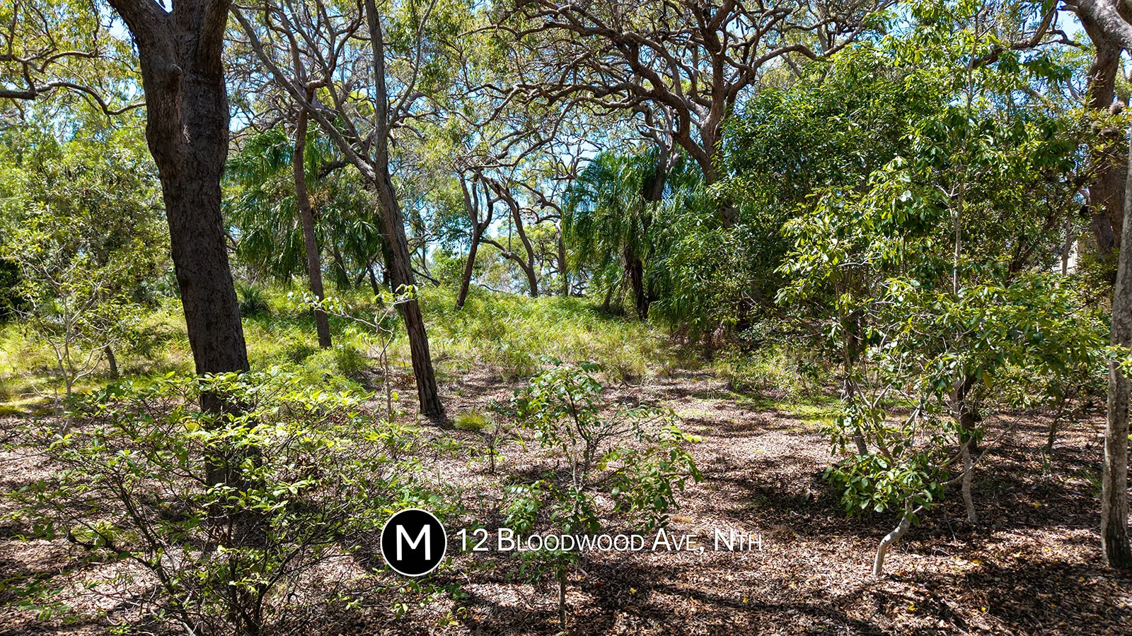 Additional image 9 of 12 Bloodwood Avenue North, Agnes Water QLD 4677