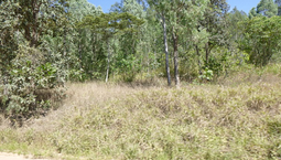 Picture of Broadwater Park Road, DALRYMPLE CREEK QLD 4850