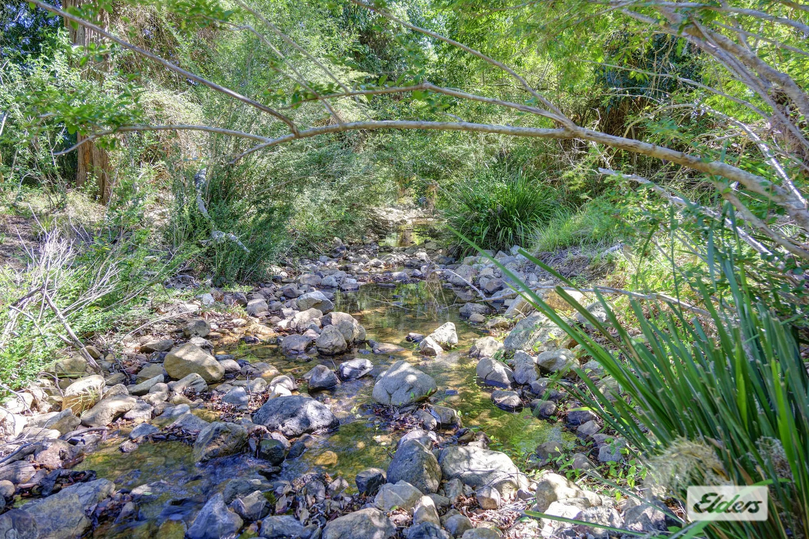 Image 10