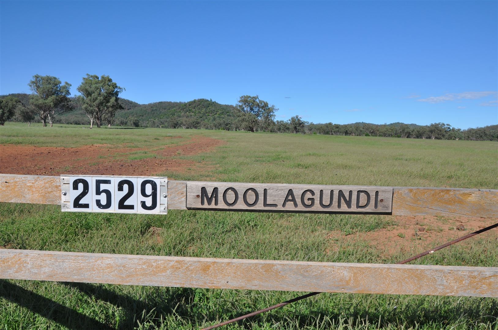 2529 Mt Nombi / Wyuna Road, 'Moolagundi', Mullaley NSW 2379 Farm for Sale 870