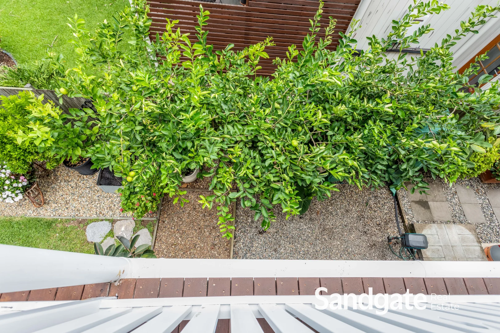 Additional image 39 of 25 Oxford Place, Shorncliffe QLD 4017