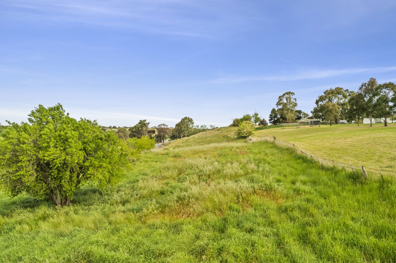 125 Blackmores Road, Clunes VIC 3370, Image 2