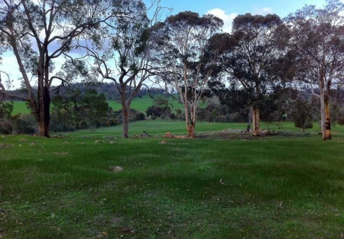 Image 21