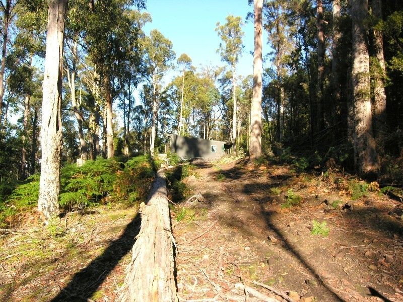 Lot 1 Waggs Gully Road, Ranelagh TAS 7109, Image 2