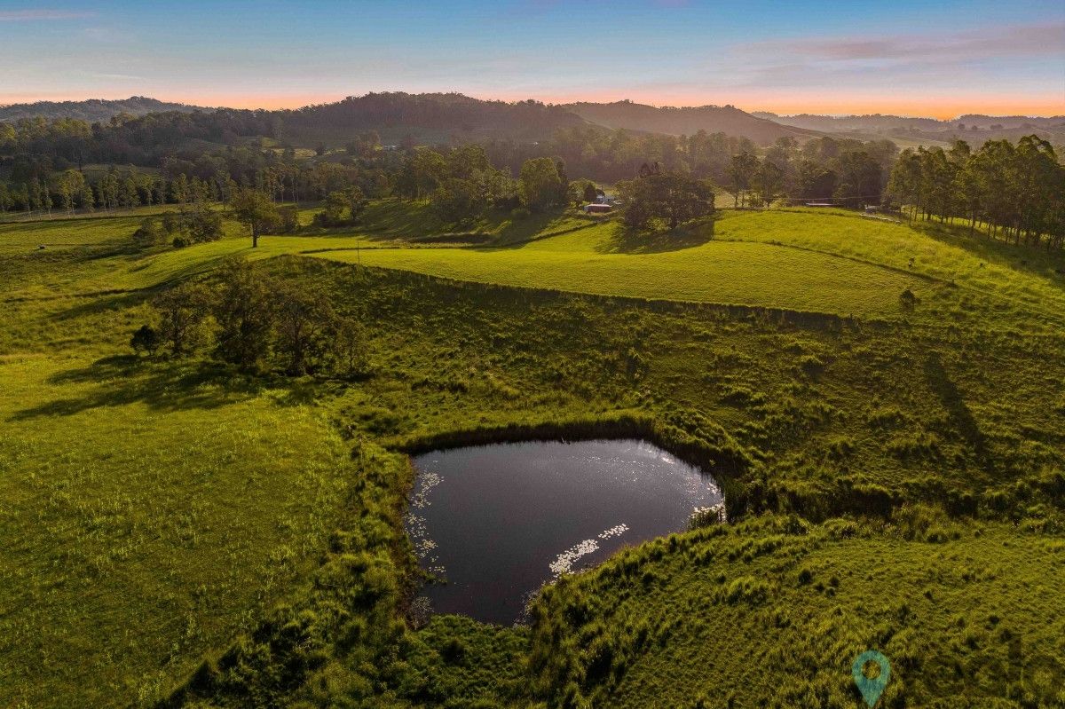 290 Back Creek Road, Bentley NSW 2480 House for Sale Domain