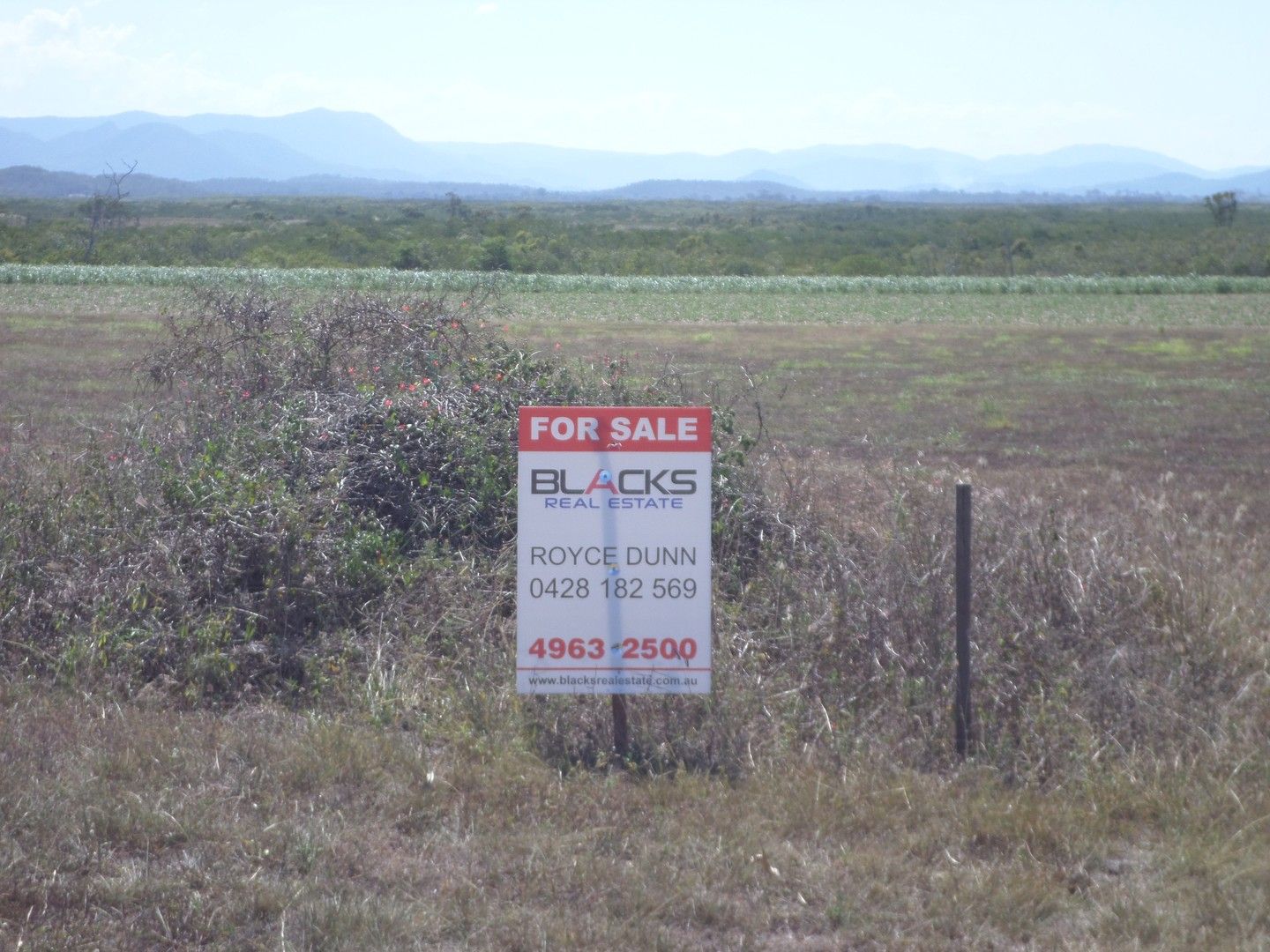 Lot 483 Mathers Creek Road, Mount Ossa QLD 4741, Image 2