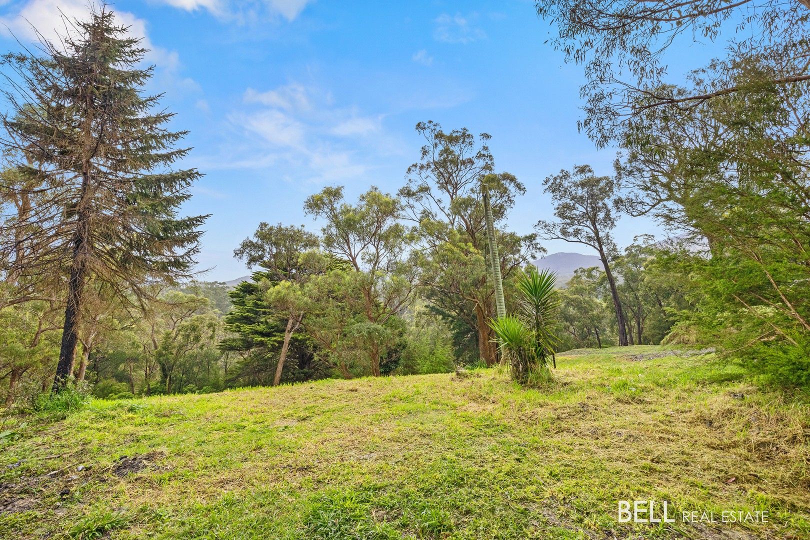 35 Riverview Parade, Launching Place VIC 3139 | Domain