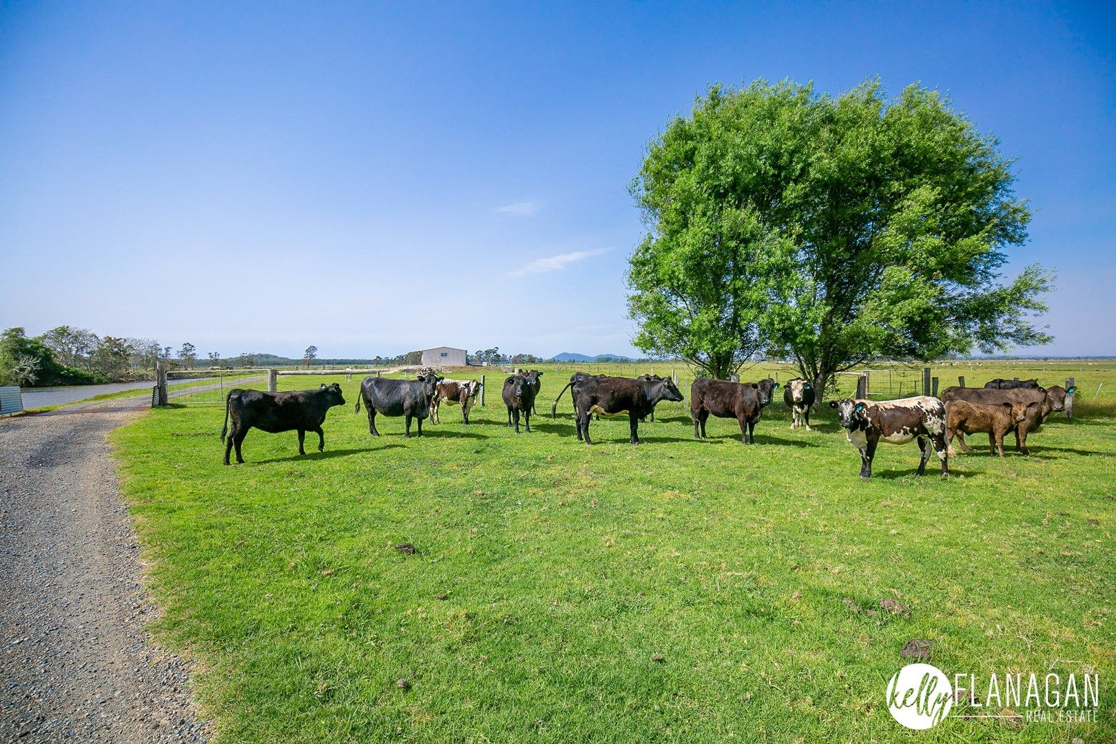 Lot 1 Kinchela Creek Left Bank Road, Kinchela NSW 2440, Image 1