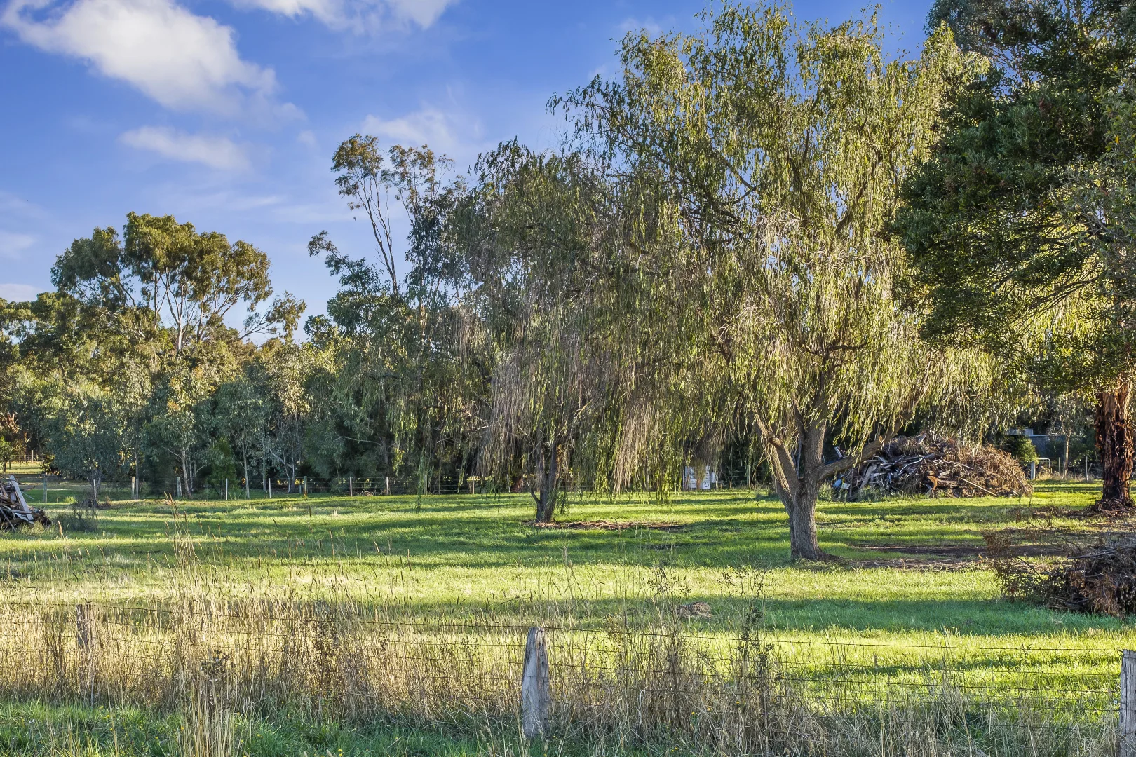 Additional image 4 of 230 Pound Road, Elliminyt VIC 3250