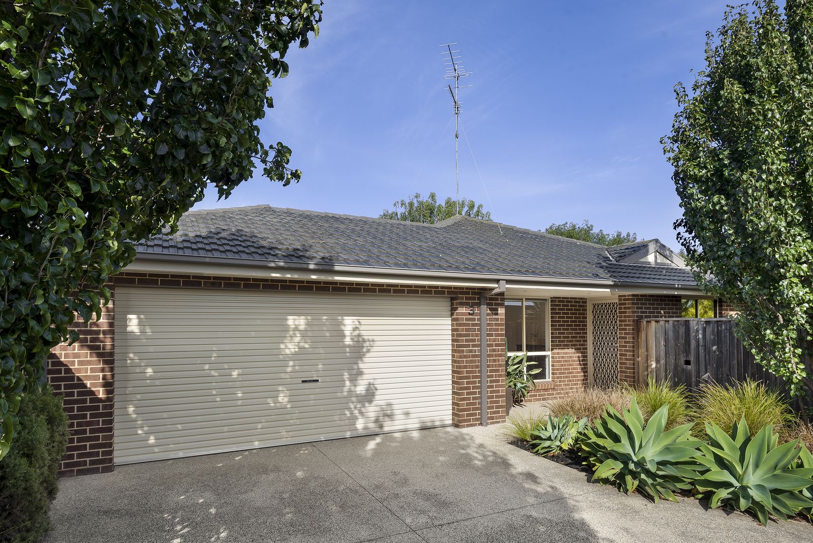 3/58 Warrawee Road, Leopold VIC 3224, Image 1