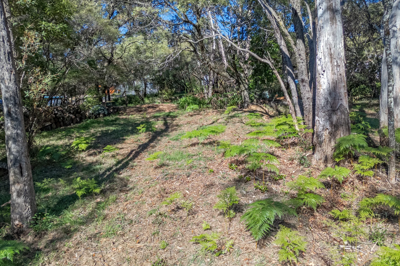 Image 7