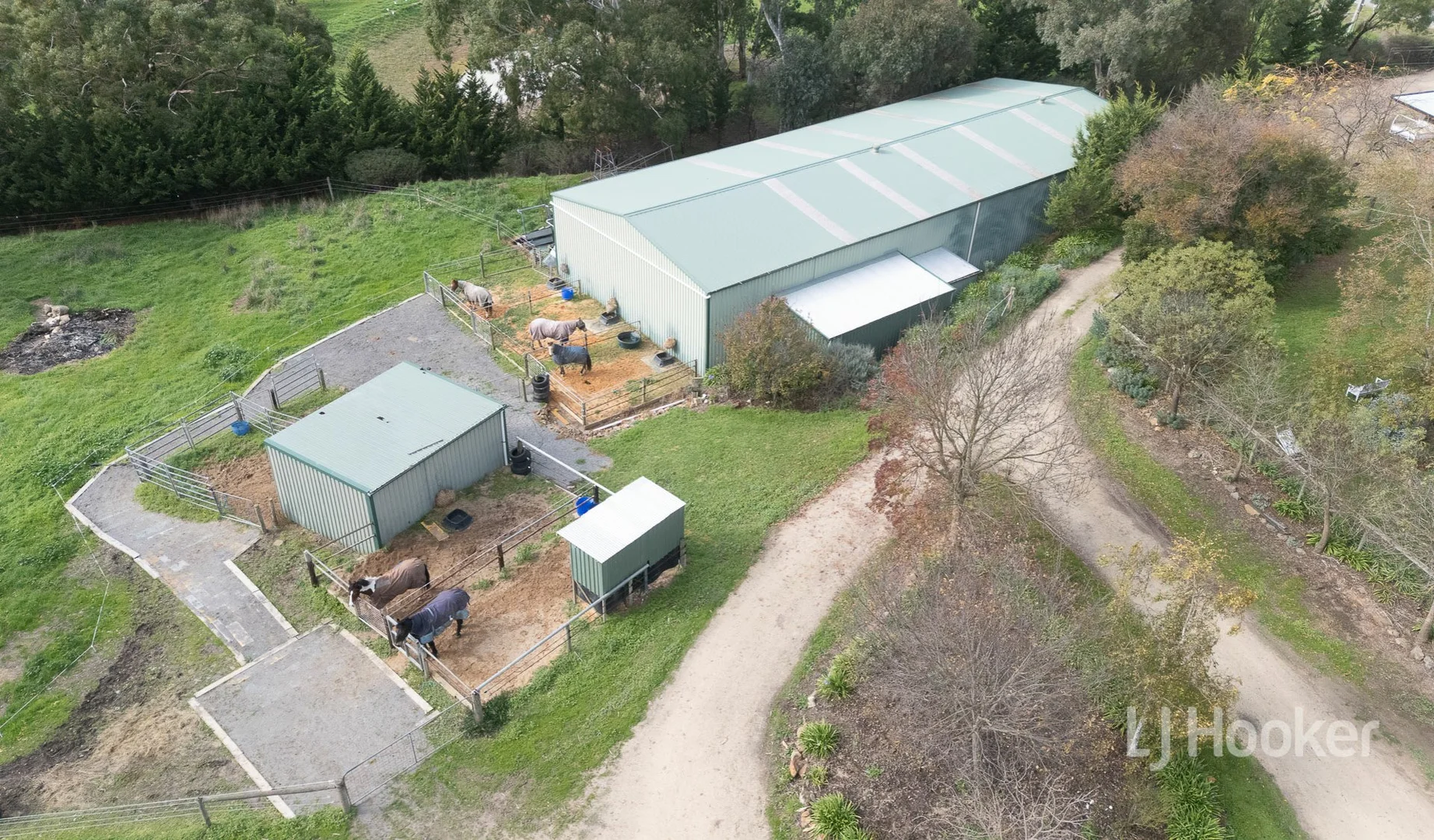 Image 21