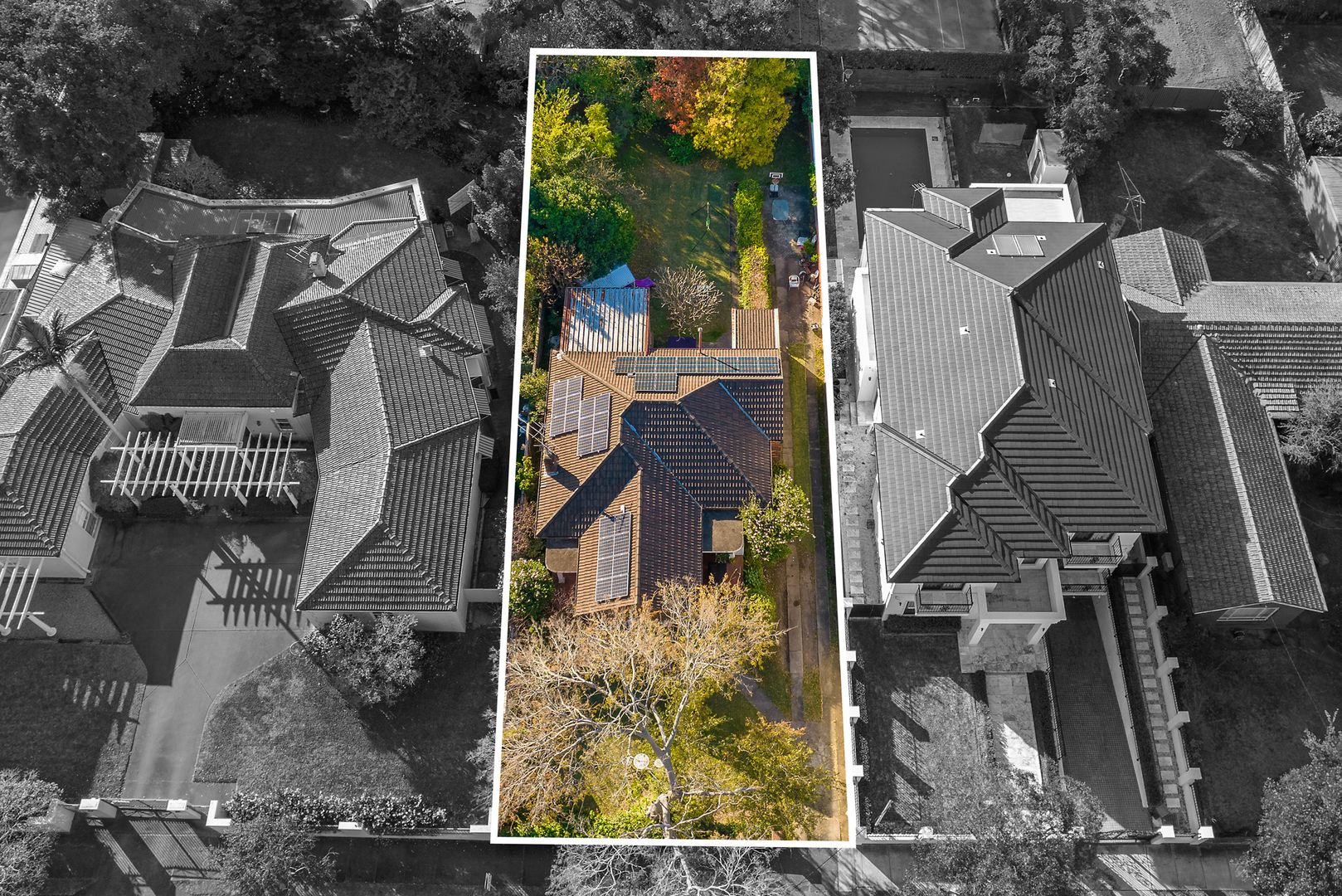 17 Torrington Road, Strathfield NSW 2135, Image 1