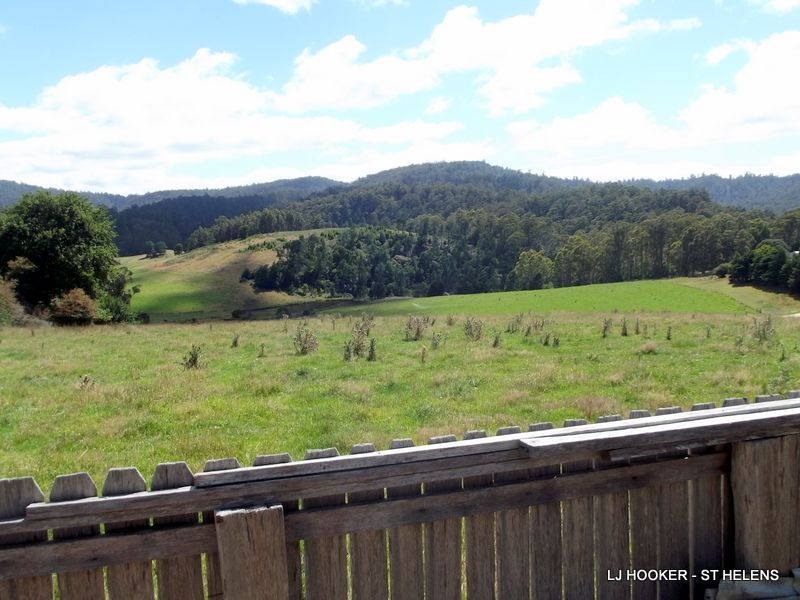 310 Lottah Road, Goulds Country TAS 7216, Image 2