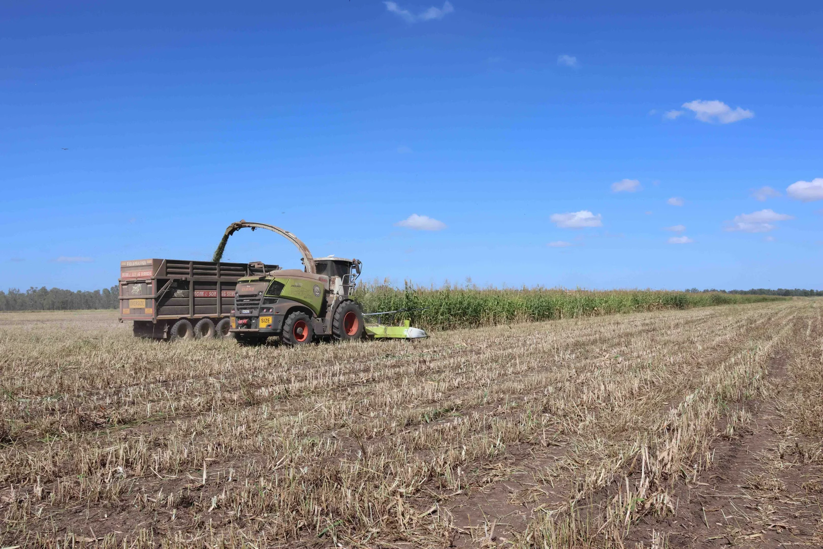 Additional image 14 of 2687 Dawson Developmental Road, Springsure QLD 4722