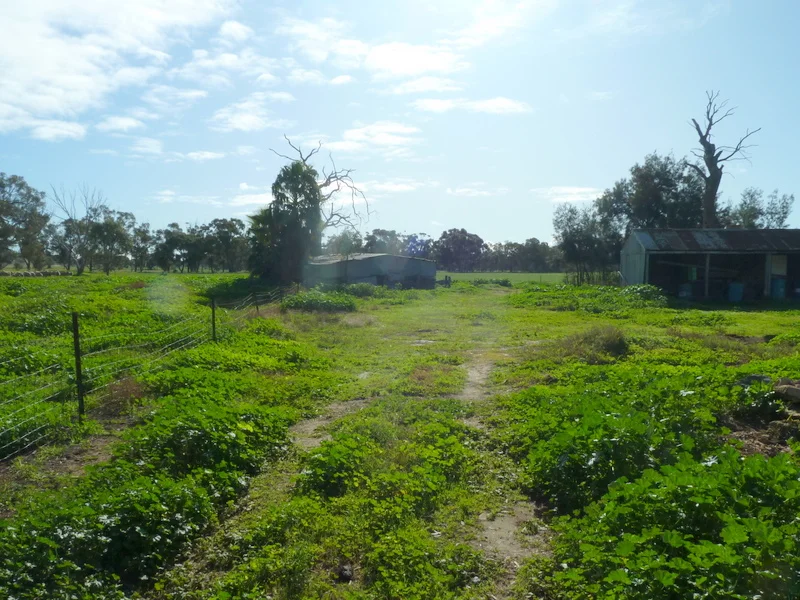 Image 12