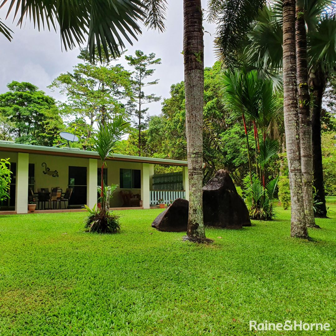 244 Buchanan Creek Road, COW BAY, Daintree QLD 4873, Image 2