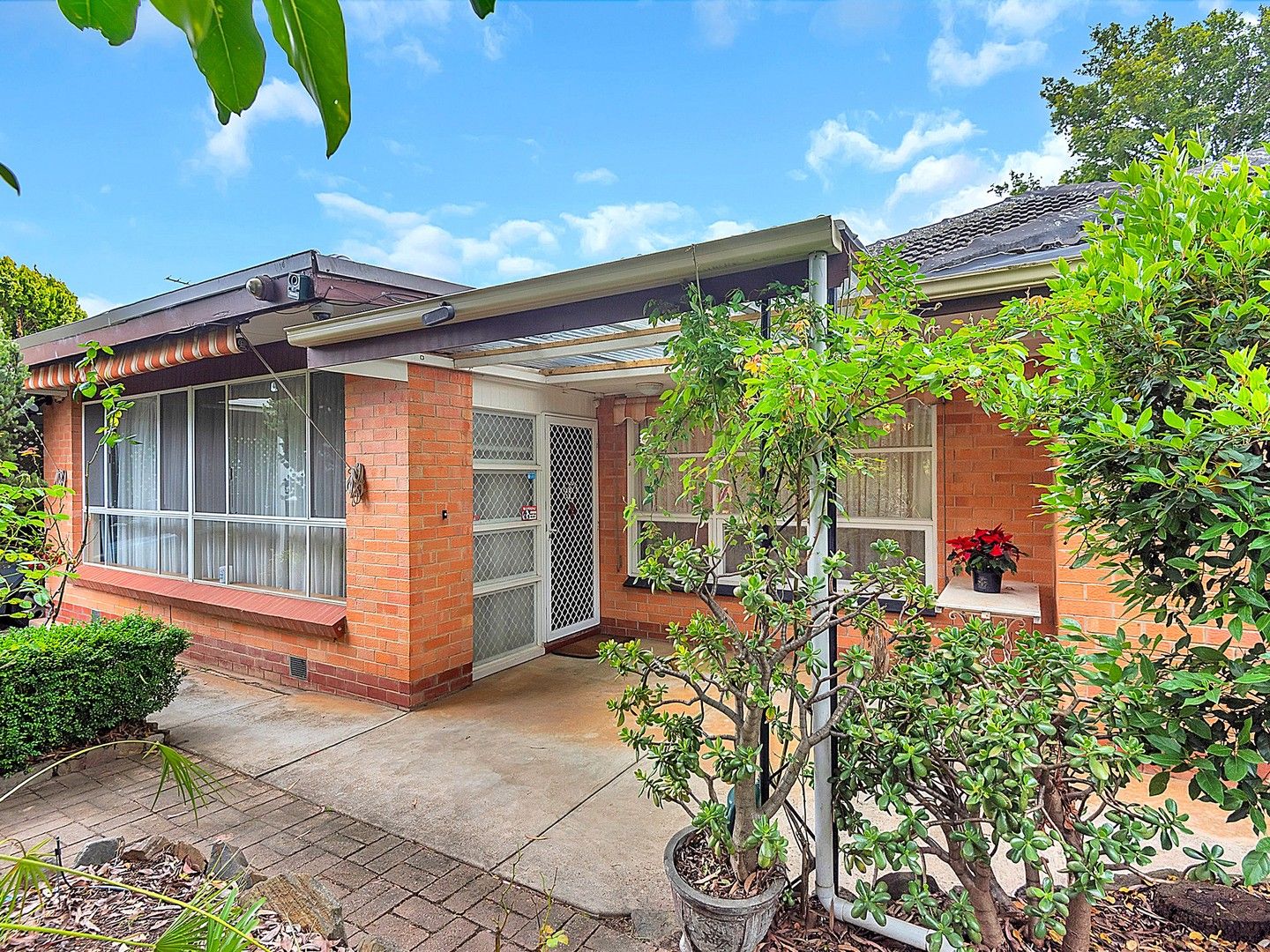 36 Butler Crescent, Banksia Park SA 5091, Image 0