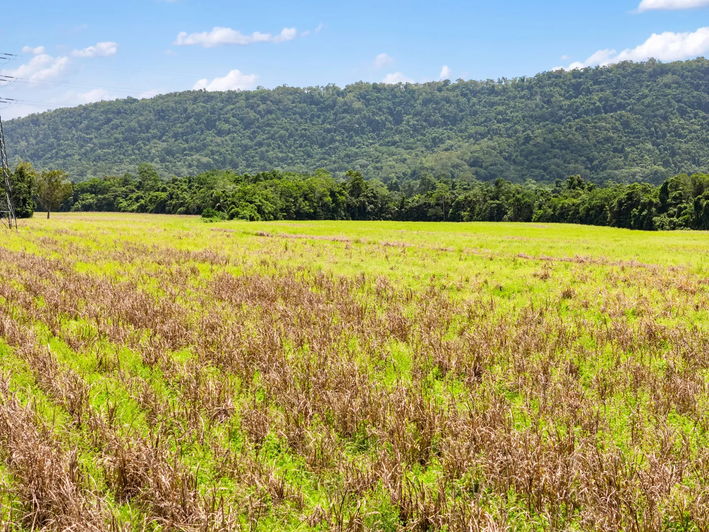 Additional image 10 of Cassowary Road, Cassowary QLD 4873