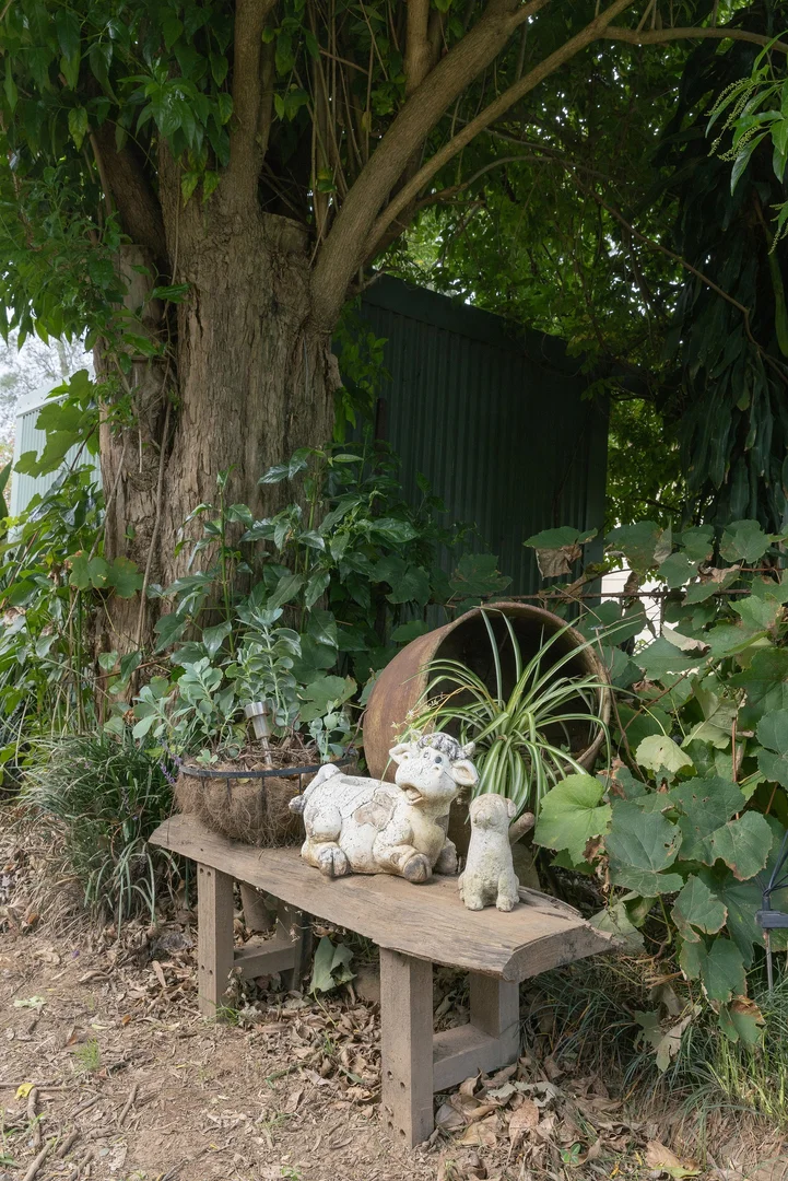 Image 29