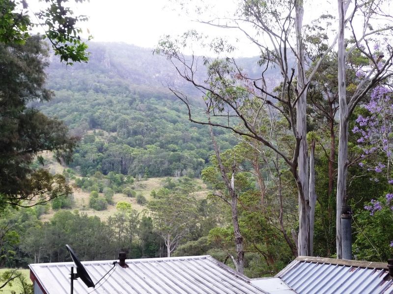 2935 Nerang-Murwillumbah Road, NUMINBAH VALLEY QLD 4211, Image 0