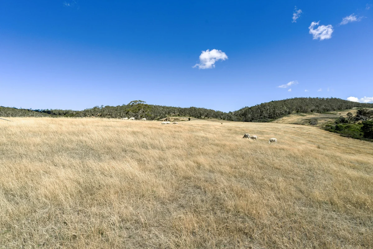 Additional image 25 of 44 Huntingdon Tier Road, Dysart TAS 7030