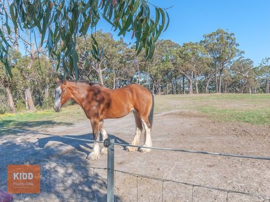 529 Ironbark Road, Mangrove Mountain NSW 2250, Image 0