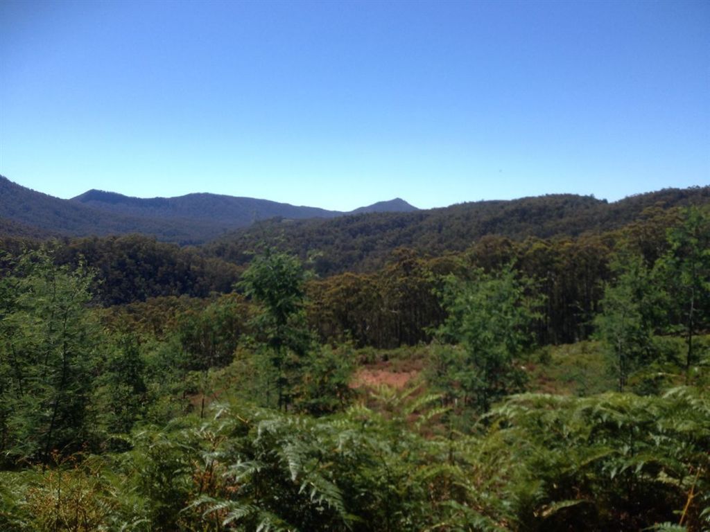 Lot 4 Harveys Road, North Motton TAS 7315, Image 0